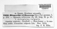 Image Associated With the Occurence